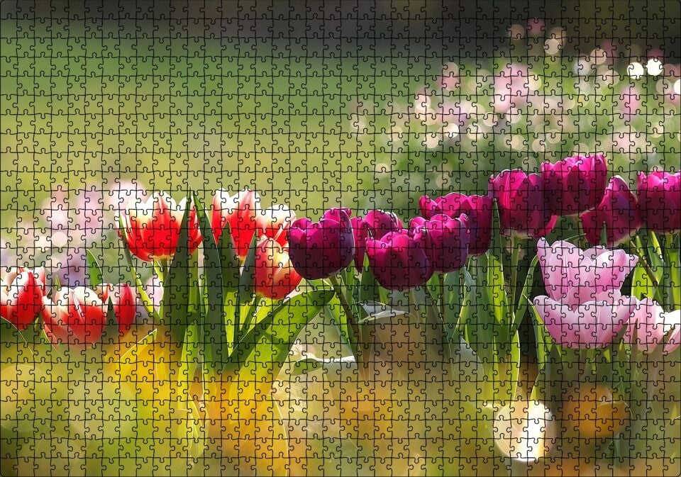 Gün Işığı Renkli Lale Bahçesi Puzzle Yapboz MDF Ahşap 1000 Parça 49 cm X 68 cm