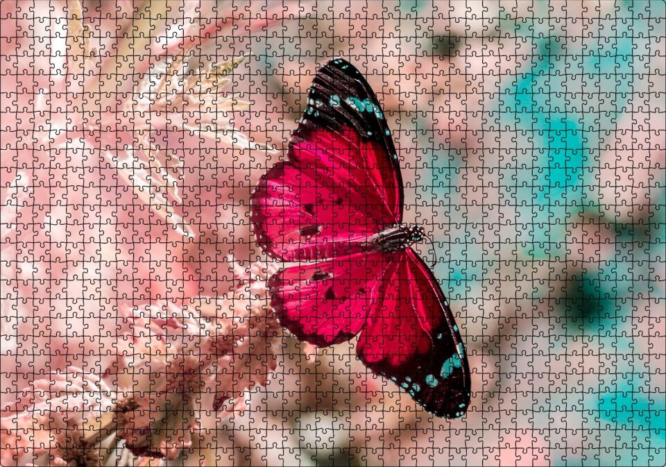 Daldaki Kırmızı Kelebek Yakın Plan Puzzle Yapboz MDF Ahşap 1000 Parça 49 cm X 68 cm