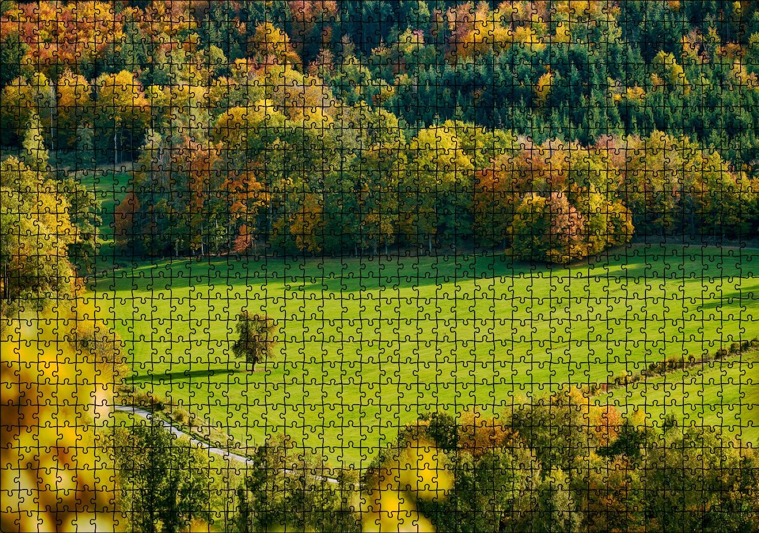 Ormanın Ortasındaki Yemyeşil Arazi ve Yalnız Ağaç Puzzle Yapboz MDF Ahşap 1000 Parça 49 cm X 68 cm