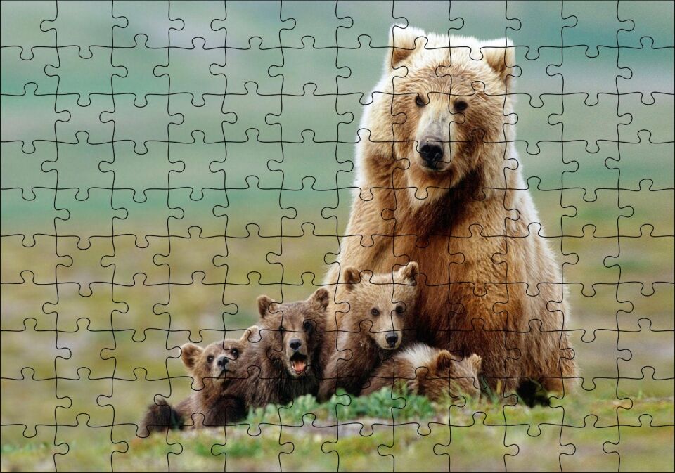 Çayırda Anne Boz Ayı ve Sevimli Yavruları Puzzle Yapboz MDF Ahşap