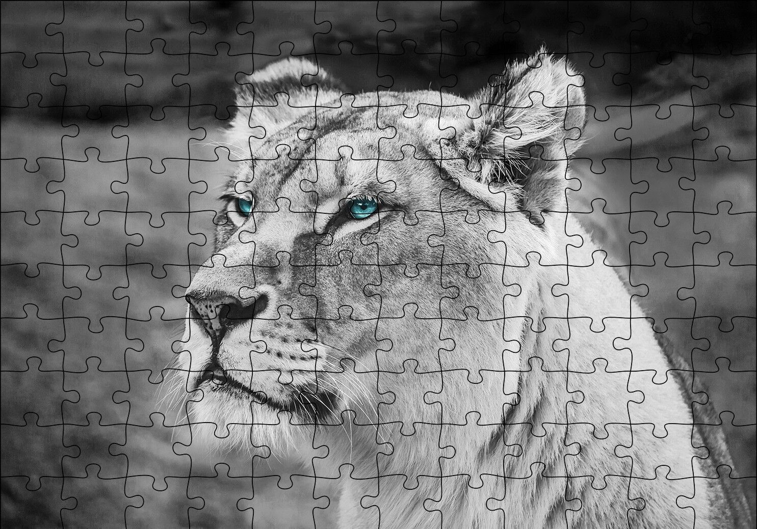 Dişi Aslan Monochrome Puzzle Yapboz MDF Ahşap