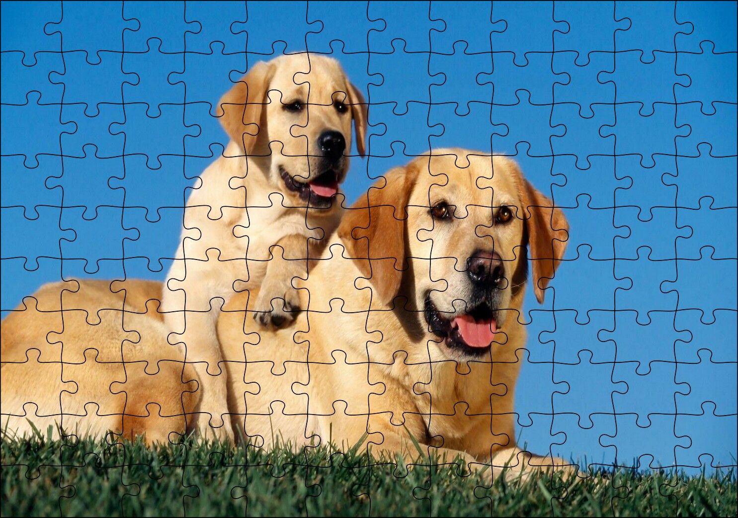 Çayırda Anne Labrador ve Yavrusu Puzzle Yapboz MDF Ahşap