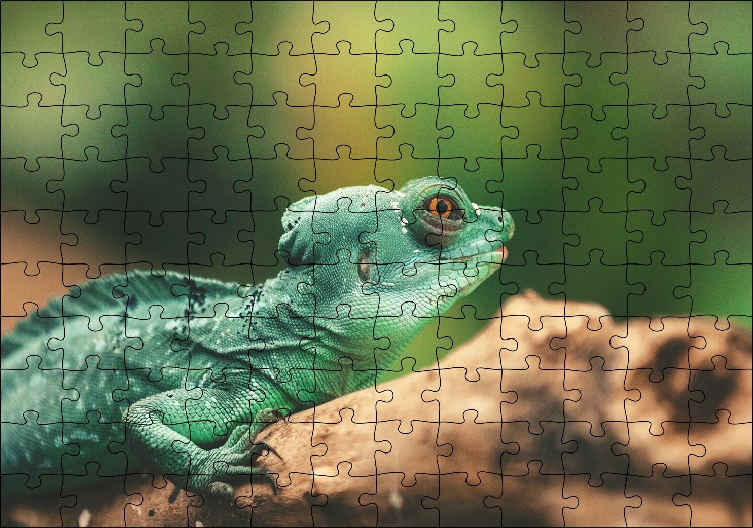 Mango Kökü Üzerindeki Yeşil Kertenkele Puzzle Yapboz MDF Ahşap