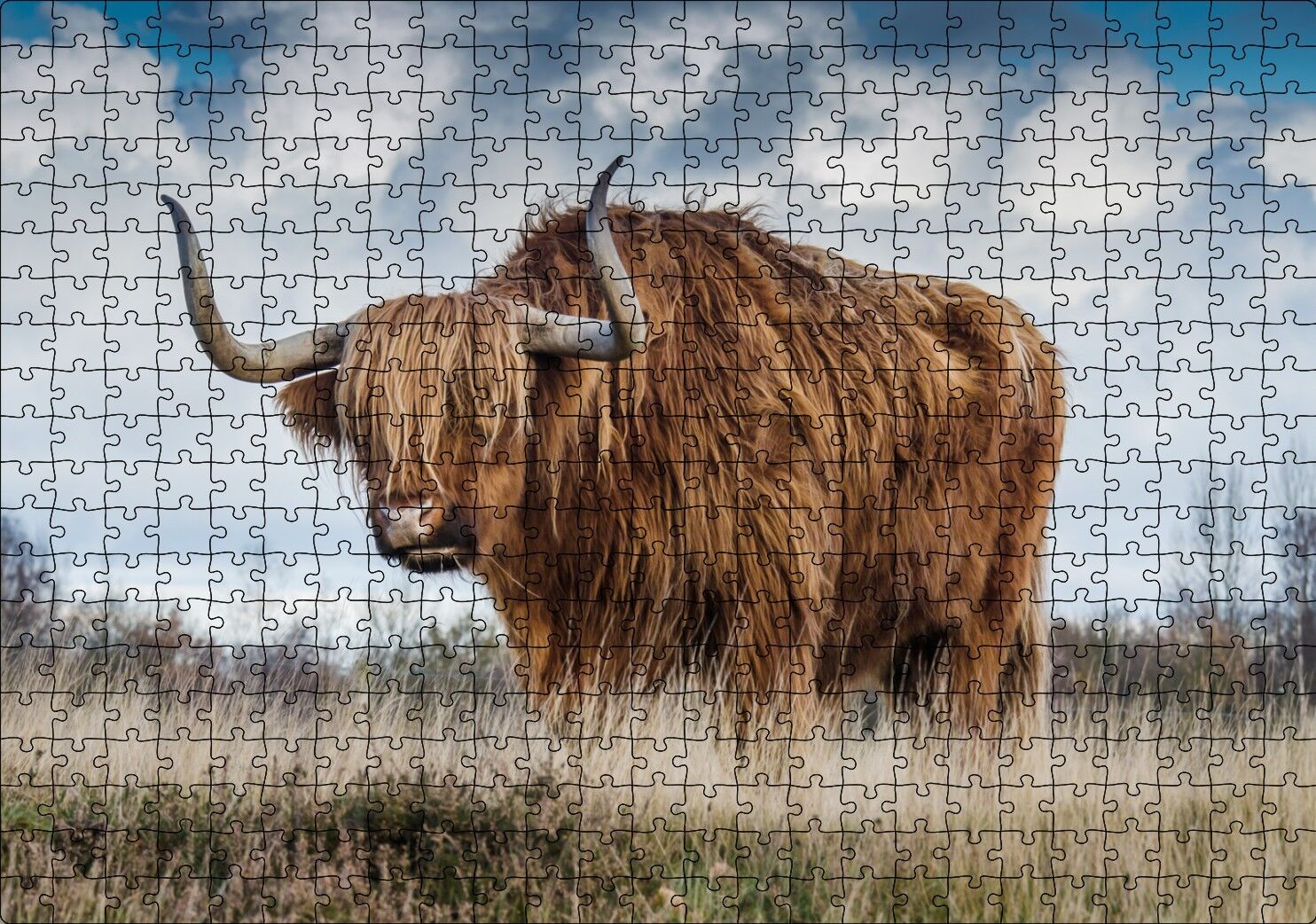 Bozkırda Kahverengi Yak Öküzü ve Bulutlar Puzzle Yapboz MDF Ahşap 500 Parça 49 cm X 68 cm