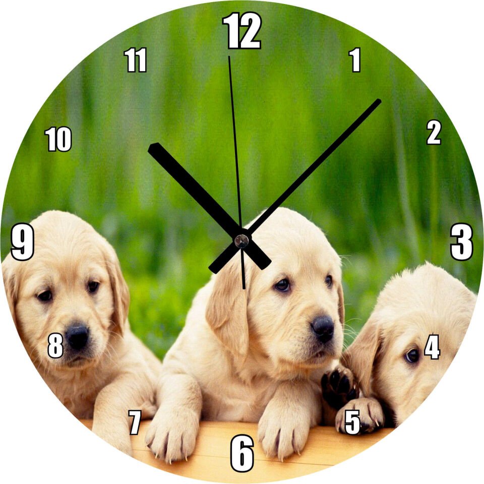 Kütüğün Üzerinde Üç Sevimli Labrador Mdf Ahşap Duvar Saati 30 cm Çap