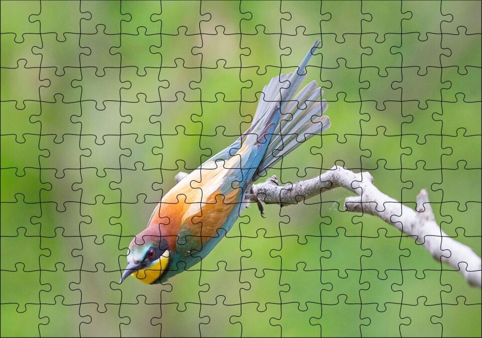 Daldan Ayrılmak Üzere Olan Rengarenk Kuş Puzzle Yapboz MDF Ahşap