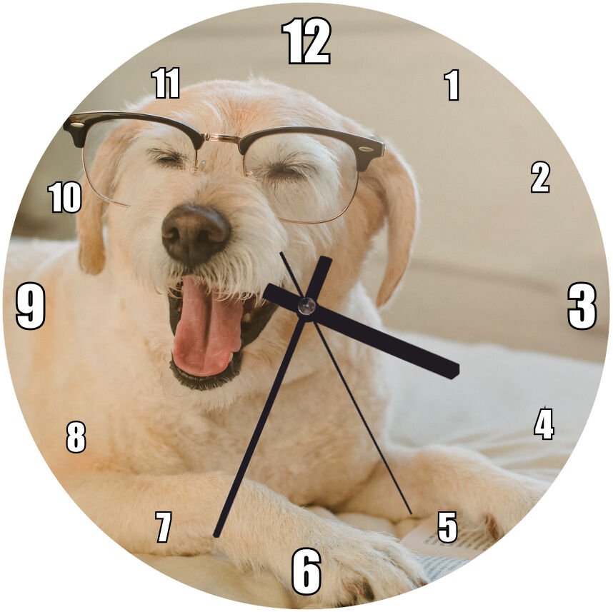 Gözlüklü Beyaz Sevimli Köpek Mdf Ahşap Duvar Saati