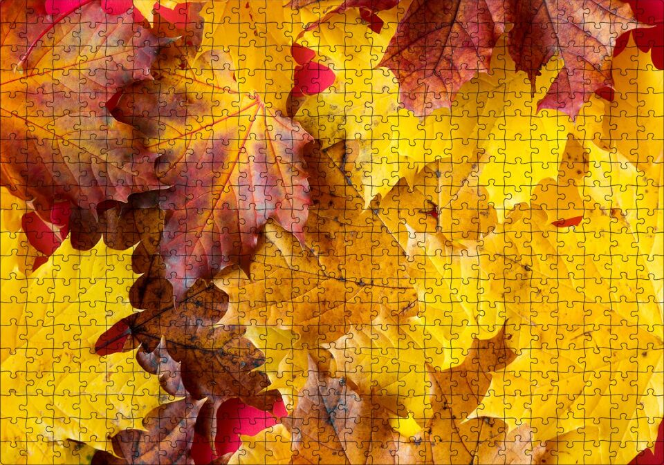 ları Dökülmüş Sonbahar Yaprakları Yakın Çekim Puzzle Yapboz MDF Ahşap 500 Parça 49 cm X 68 cm