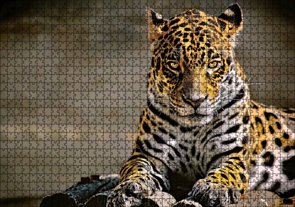 Sarı Siyah Beyaz Karışımlı Leopar Görseli Puzzle Yapboz MDF Ahşap 1000 Parça 49 cm X 68 cm