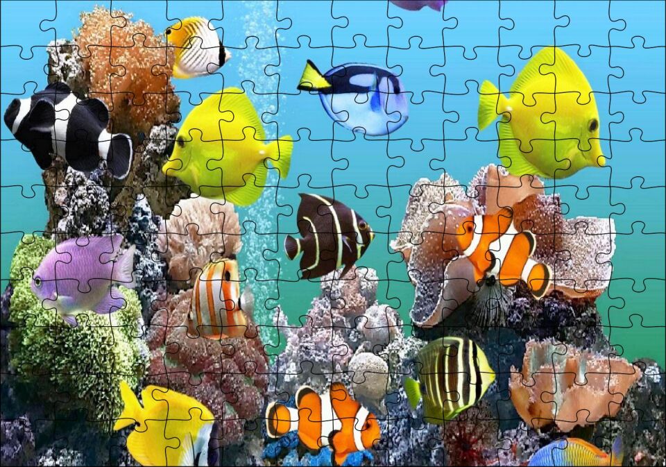 Deniz Akvaryumu ve Rengarenk Balıklar Puzzle Yapboz MDF Ahşap