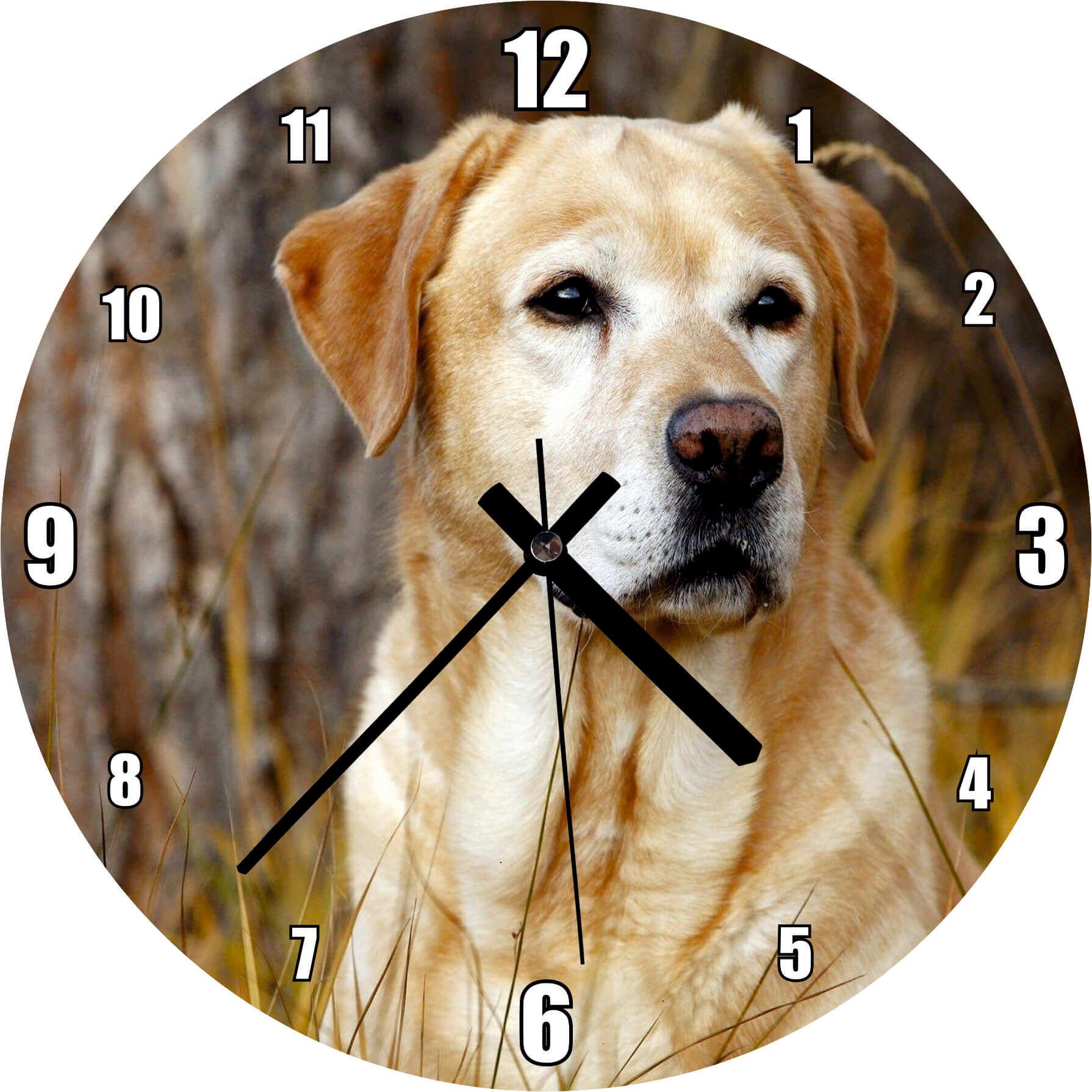 Kuru Otların Arasındaki Labrador Mdf Ahşap Duvar Saati 30 cm Çap