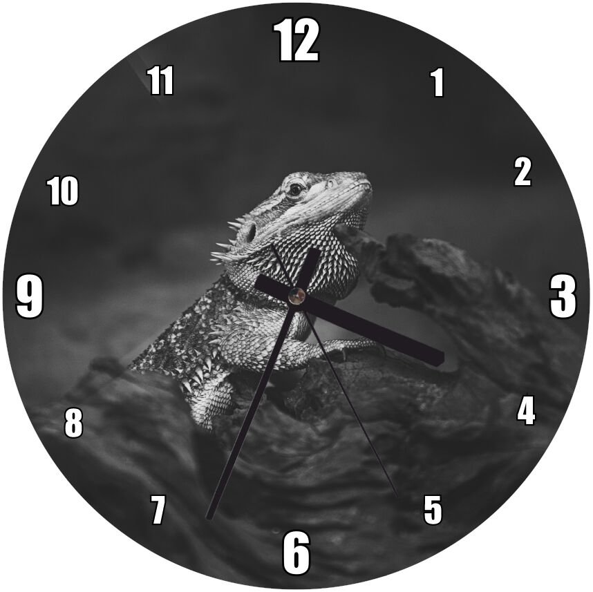 Karanlık Mod İguana Mdf Ahşap Duvar Saati
