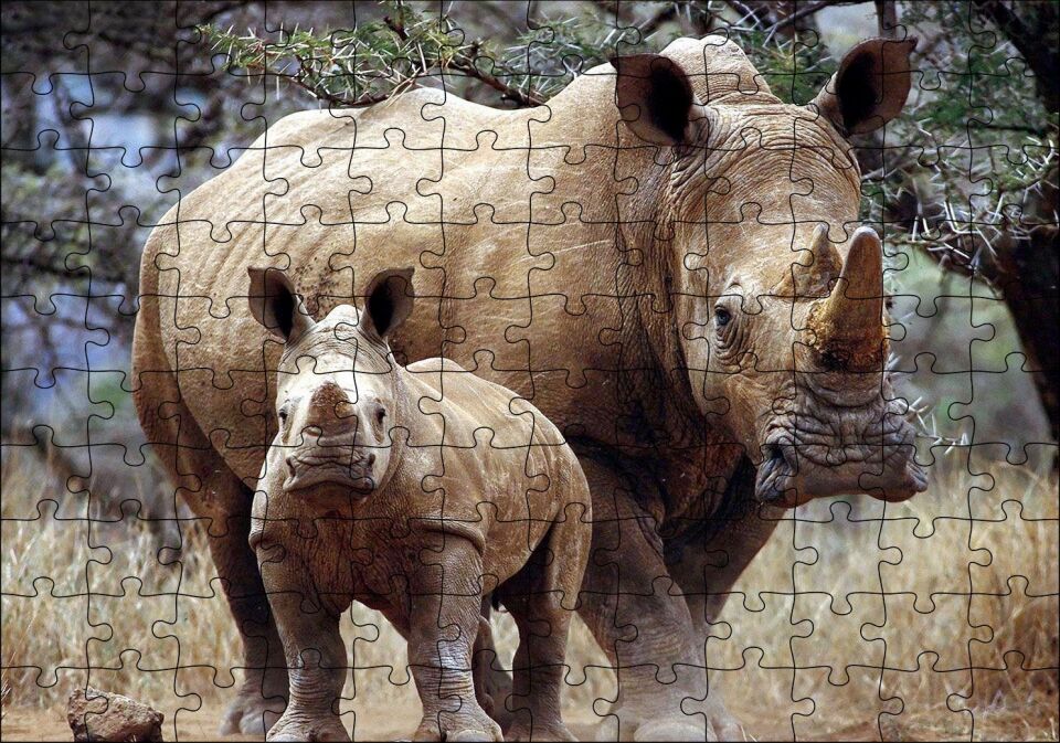 Dev Anne Gergedan ve Sevimli Yavrusu Puzzle Yapboz MDF Ahşap