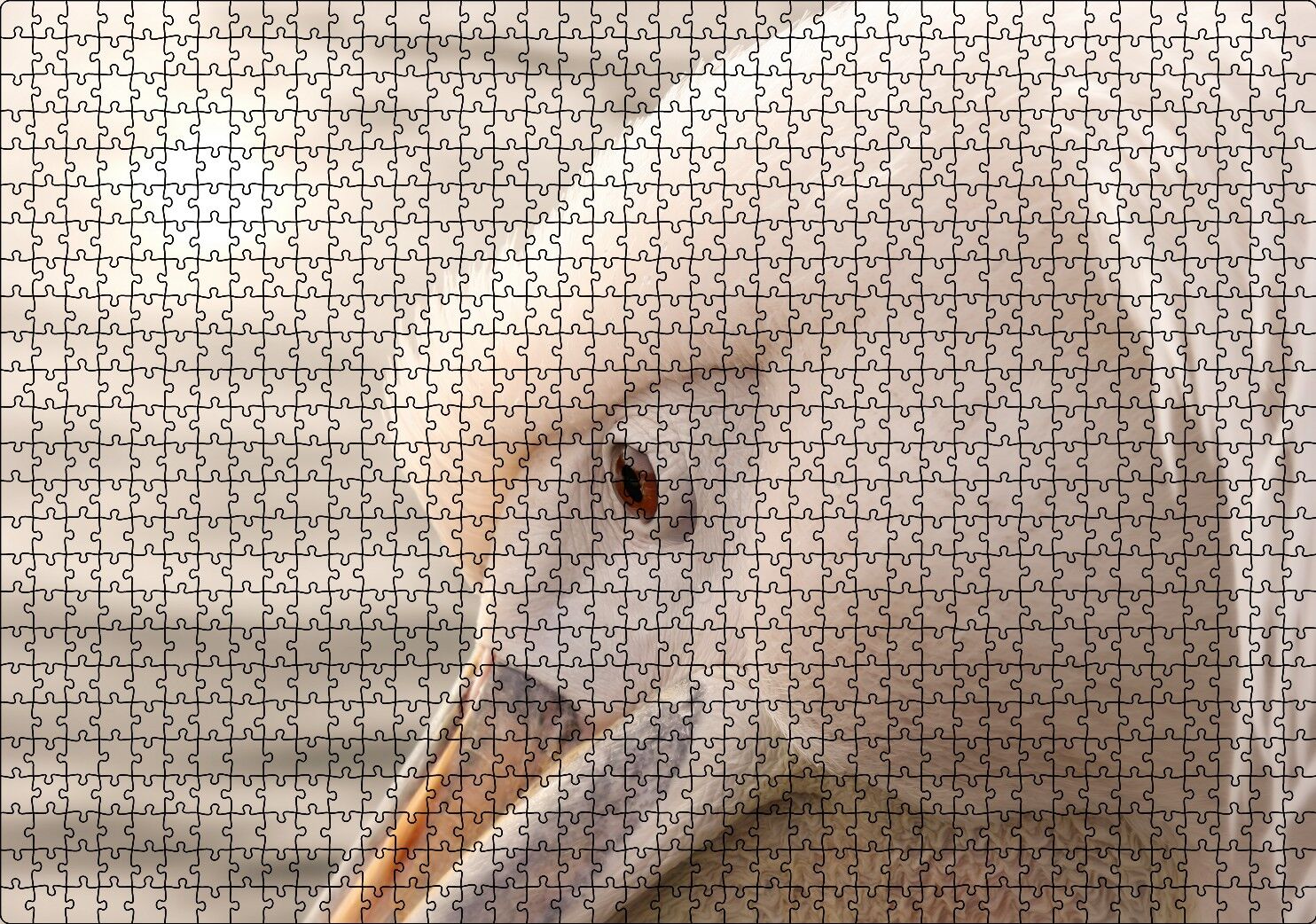 Pelikan Yakın Çekim Flu Arkaplan Puzzle Yapboz MDF Ahşap 1000 Parça 49 cm X 68 cm