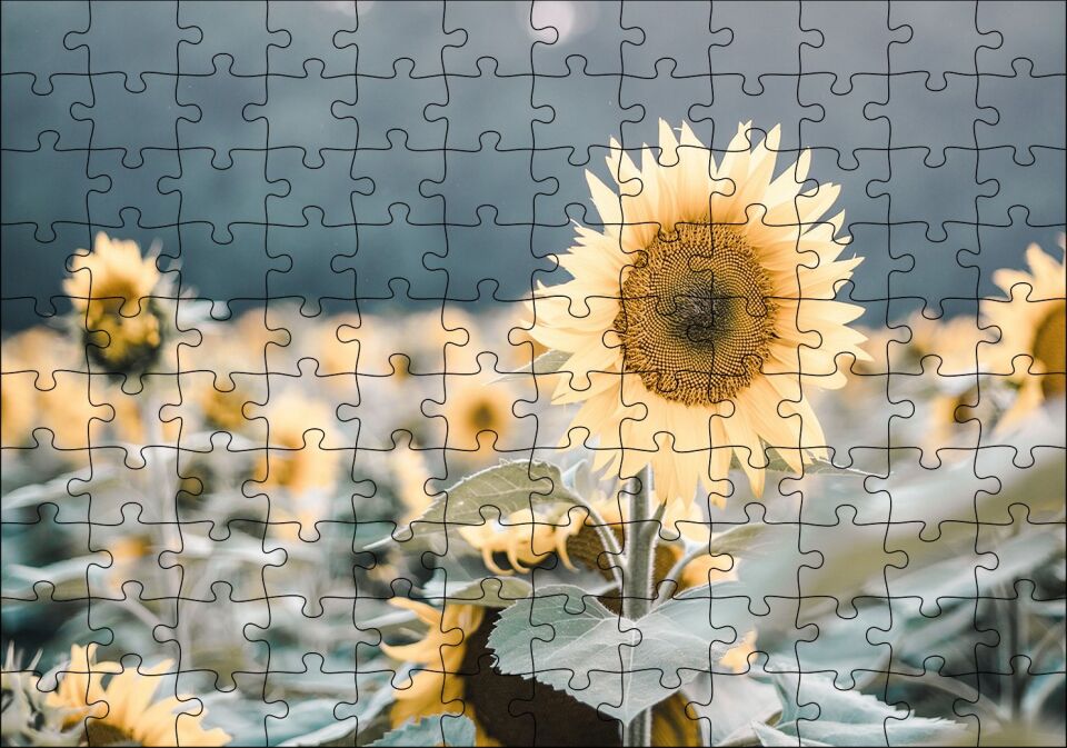Günebakan Çiçeği Flu Arkaplan Puzzle Yapboz MDF Ahşap 120 Parça 24 cm X 34 cm