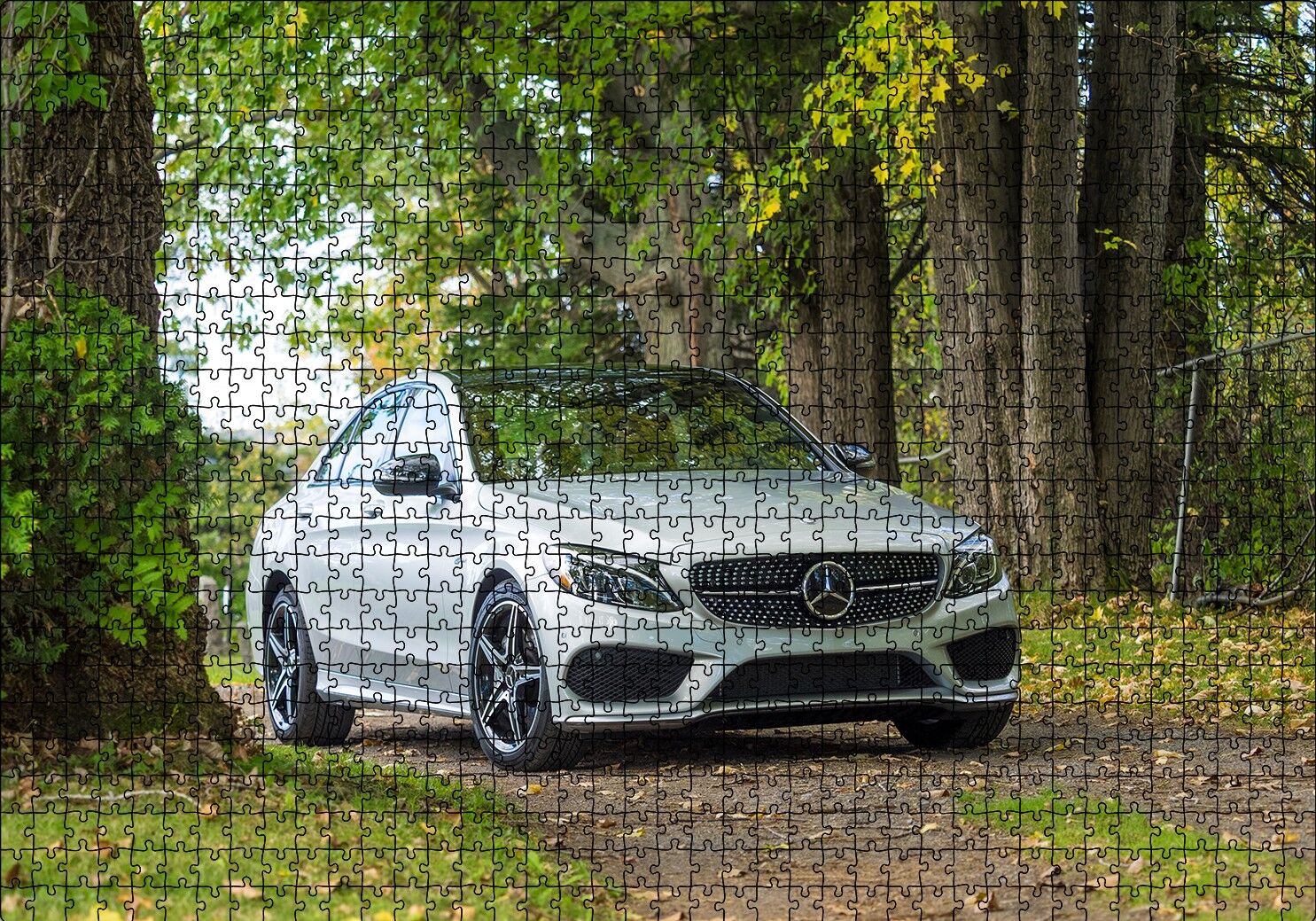 Orman Patikası ve Gri Mercedes Puzzle Yapboz MDF Ahşap 1000 Parça 49 cm X 68 cm