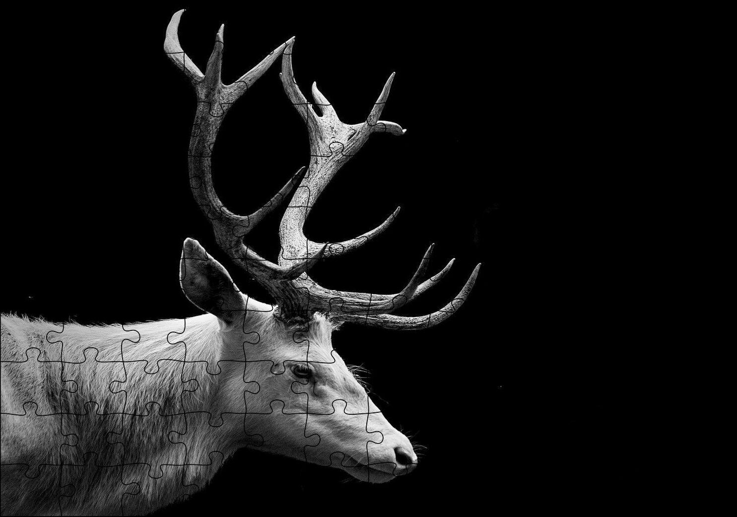Efsanevi Geyik Yakın Çekim Karanlık Arka Plan Puzzle Yapboz MDF Ahşap