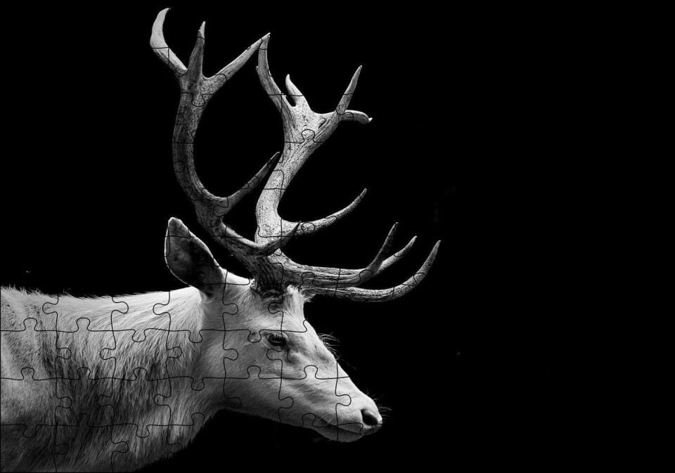 Efsanevi Geyik Yakın Çekim Karanlık Arka Plan Puzzle Yapboz MDF Ahşap