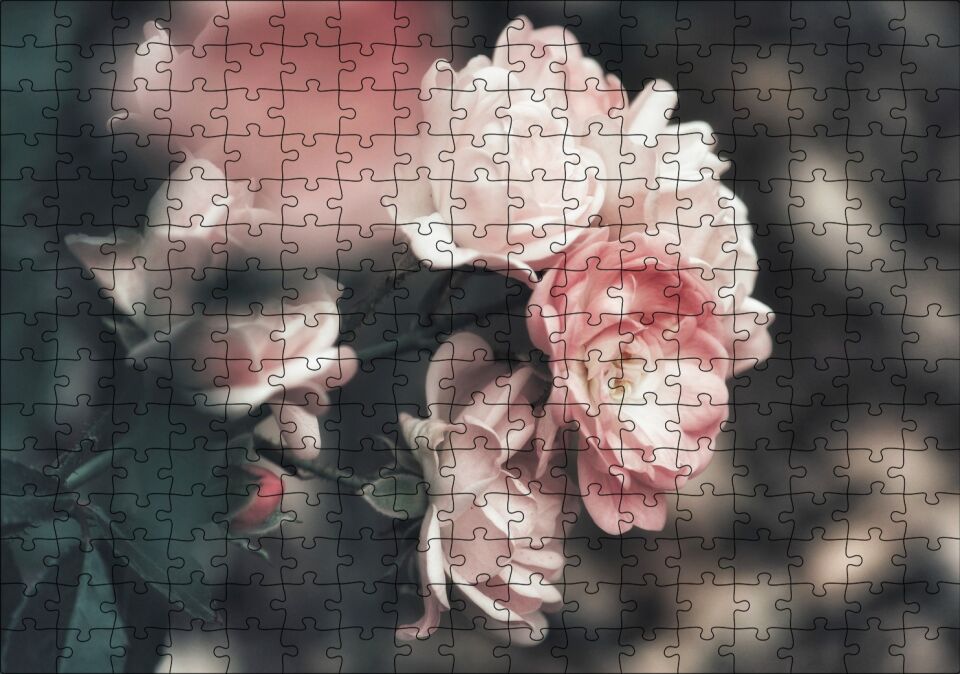 Pembe Güller Flu Arka Plan Puzzle Yapboz MDF Ahşap 255 Parça 34 cm X 49 cm
