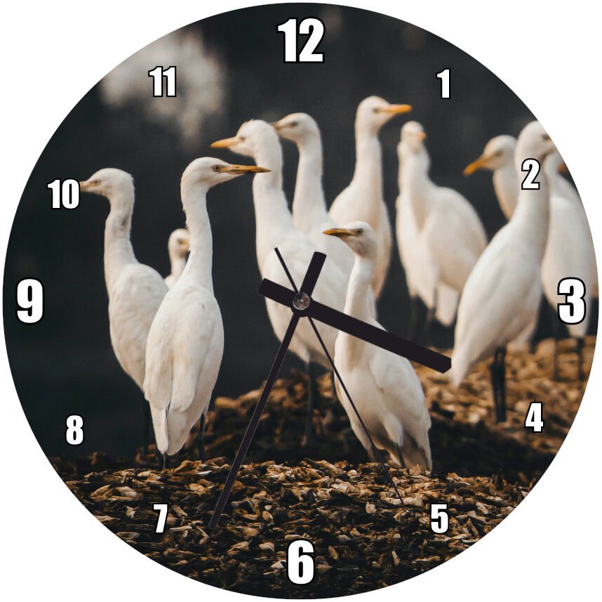 Beyaz Balıkçıl Kuşları Görsel Mdf Ahşap Duvar Saati