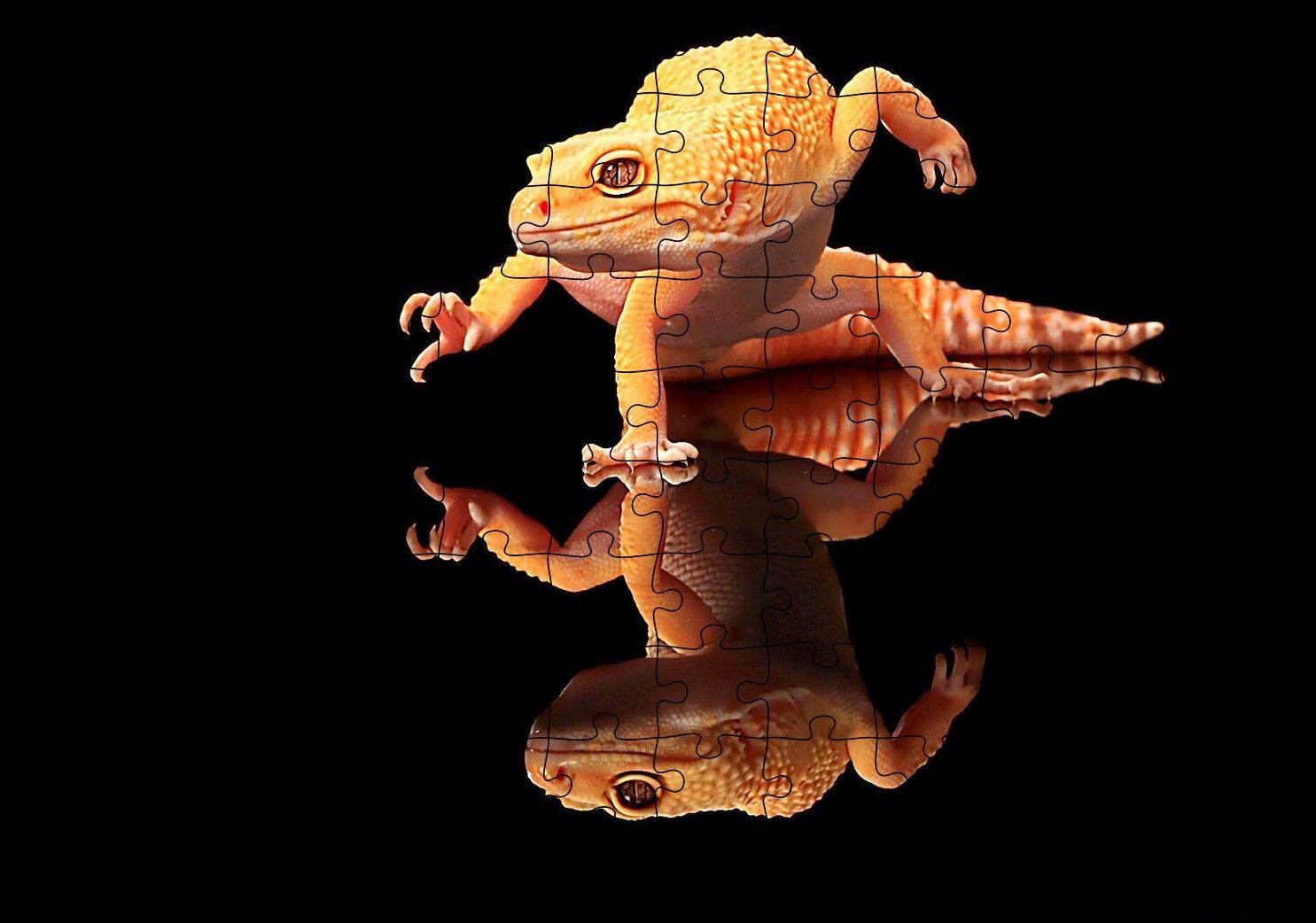 Geko Kertenkelesi Cam Zeminde Karanlık Arka Plan Puzzle Yapboz MDF Ahşap