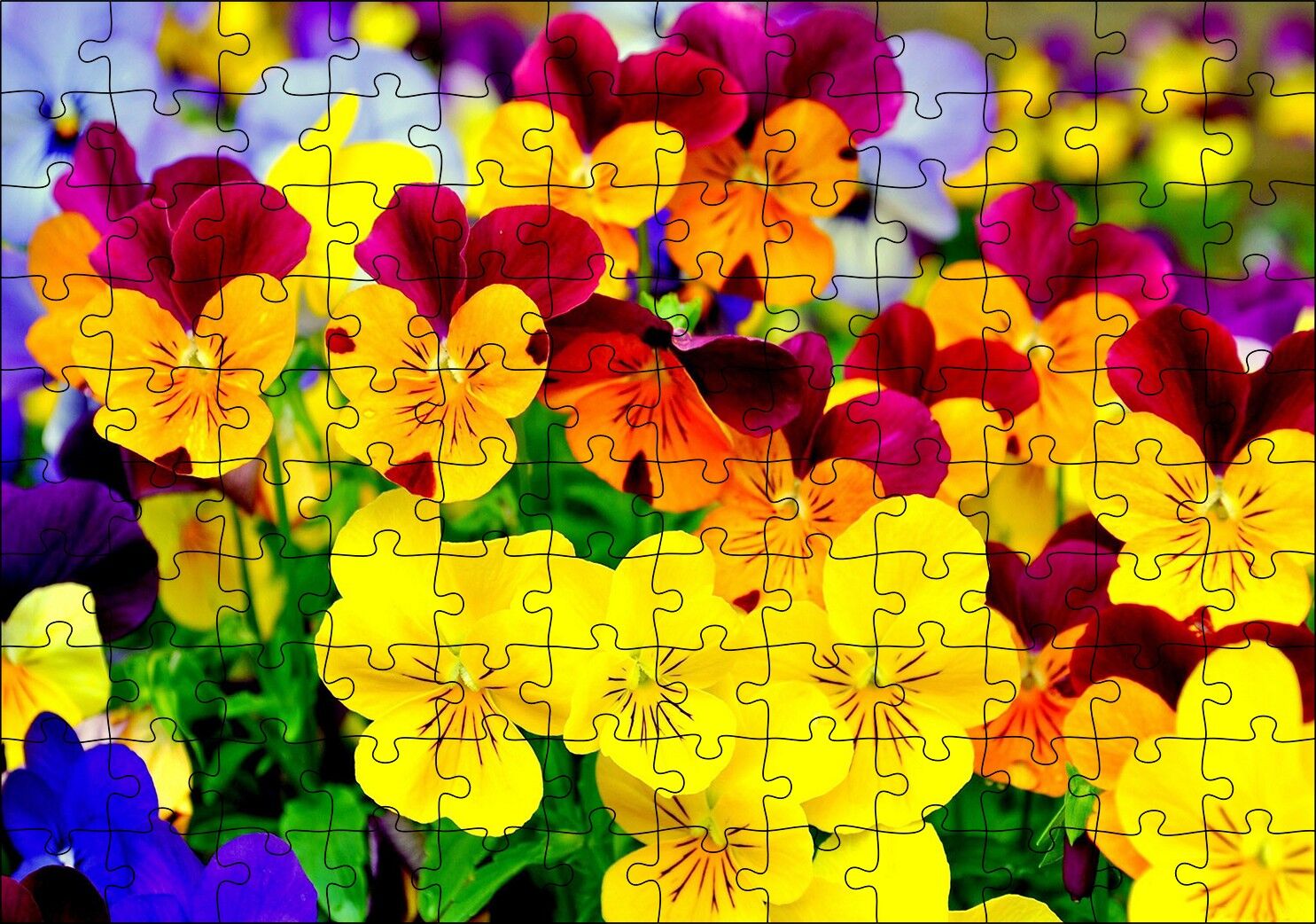 Hercai Menekşe Renkli Yaprakları Görsel Puzzle Yapboz MDF Ahşap 120 Parça 24 cm X 34 cm