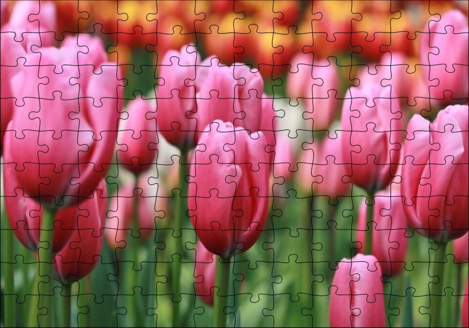 Pembe Lale Tarlası Görseli Puzzle Yapboz MDF Ahşap 120 Parça 24 cm X 34 cm