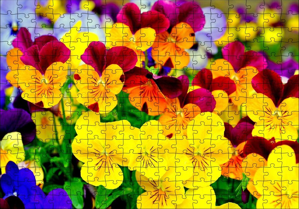 Hercai Menekşe Renkli Yaprakları Görsel Puzzle Yapboz MDF Ahşap 255 Parça 34 cm X 49 cm
