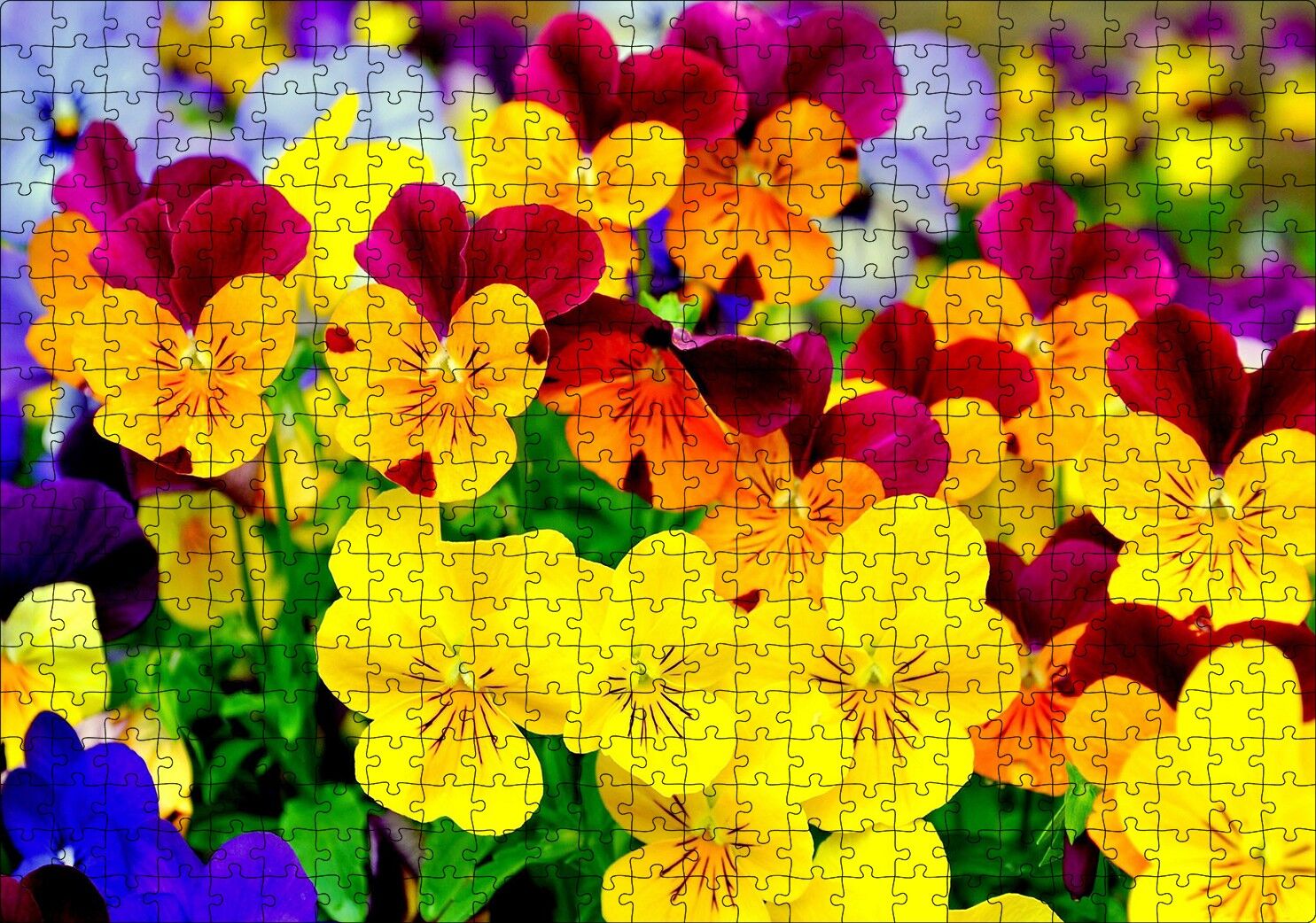 Hercai Menekşe Renkli Yaprakları Görsel Puzzle Yapboz MDF Ahşap 500 Parça 49 cm X 68 cm