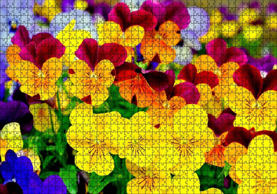 Hercai Menekşe Renkli Yaprakları Görsel Puzzle Yapboz MDF Ahşap 1000 Parça 49 cm X 68 cm