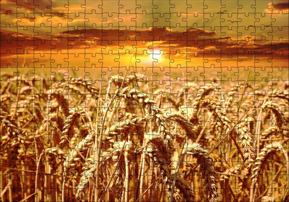 Eğilmiş Buğday Başakları ve Gün Batımı Puzzle Yapboz MDF Ahşap 255 Parça 34 cm X 49 cm