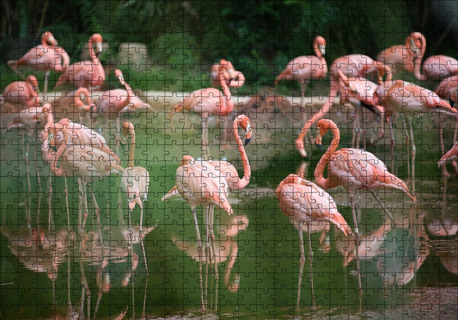 Gölde Flamingolar Puzzle Yapboz MDF Ahşap 500 Parça 49 cm X 68 cm
