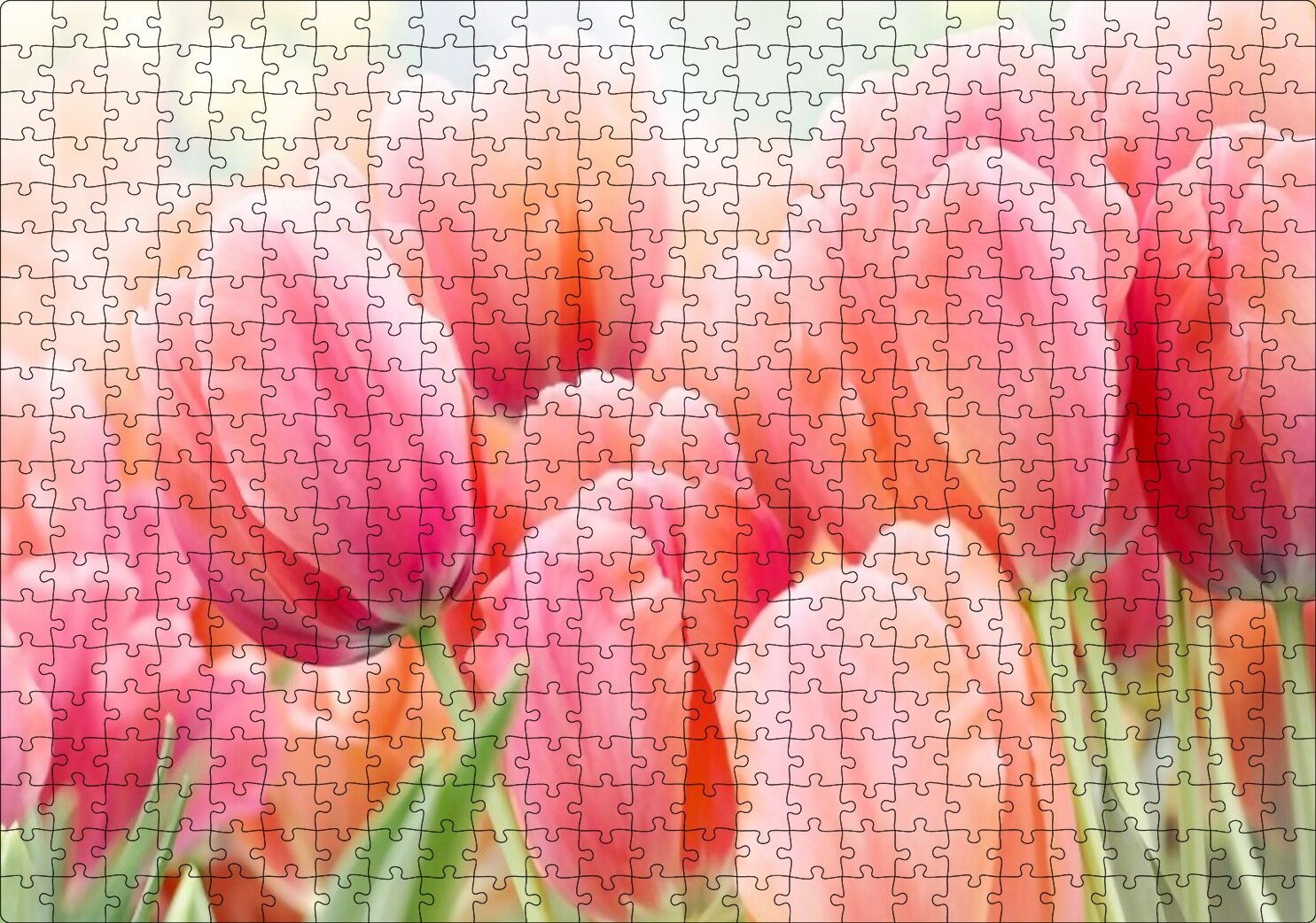 Pembe Laleler Görseli Puzzle Yapboz MDF Ahşap 500 Parça 49 cm X 68 cm