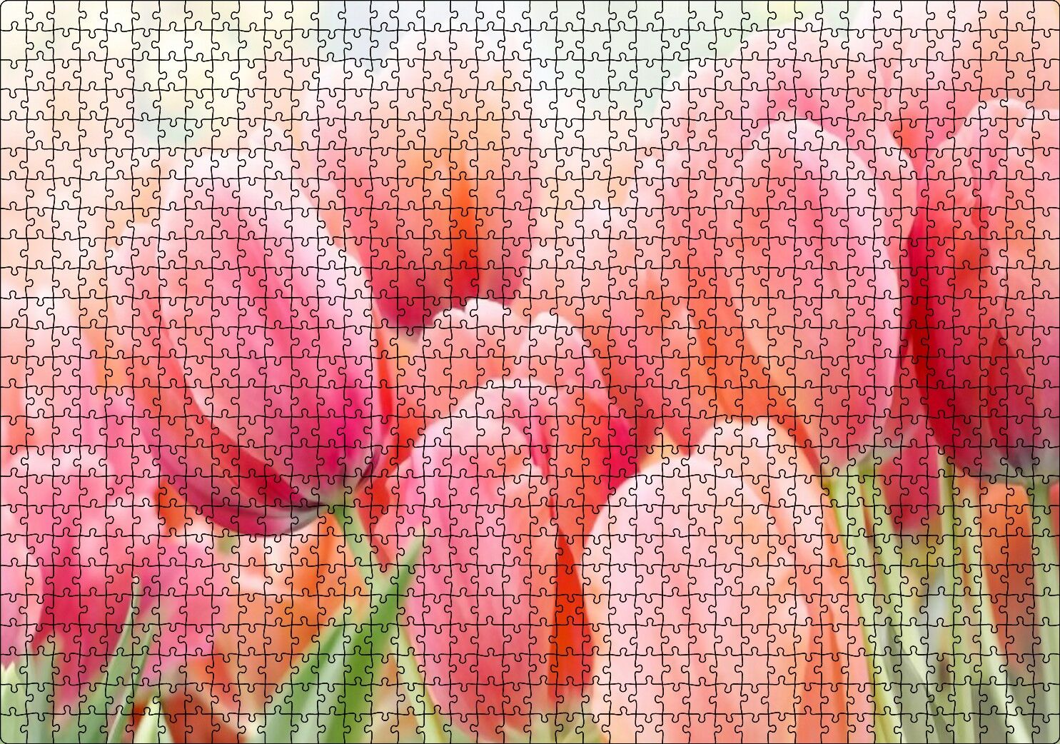 Pembe Laleler Görseli Puzzle Yapboz MDF Ahşap 1000 Parça 49 cm X 68 cm