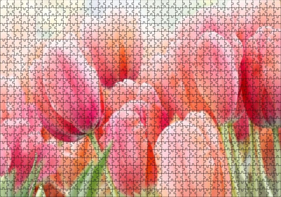 Pembe Laleler Görseli Puzzle Yapboz MDF Ahşap 1000 Parça 49 cm X 68 cm