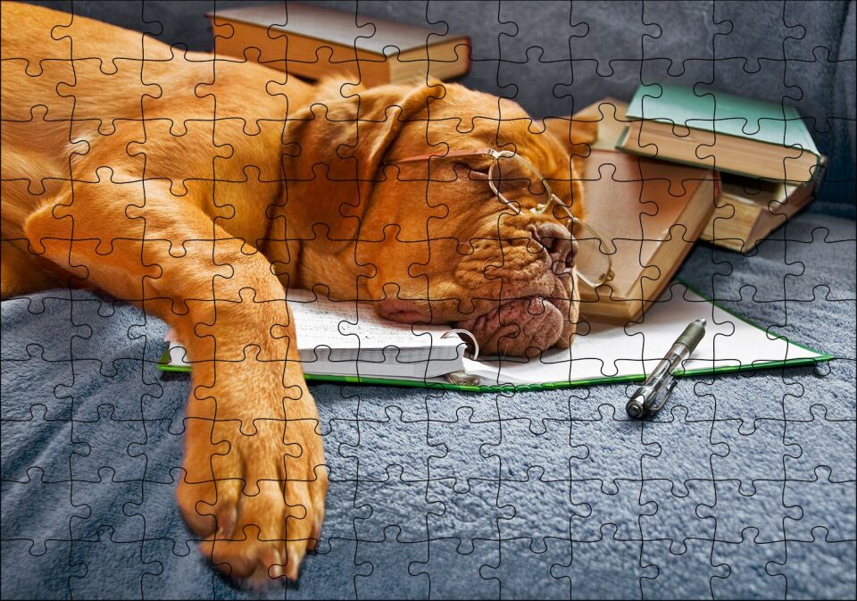 Kitap Defter Kalem ve Gözlüklü Kahverengi Buldog Puzzle Yapboz MDF Ahşap 120 Parça 24 cm X 34 cm