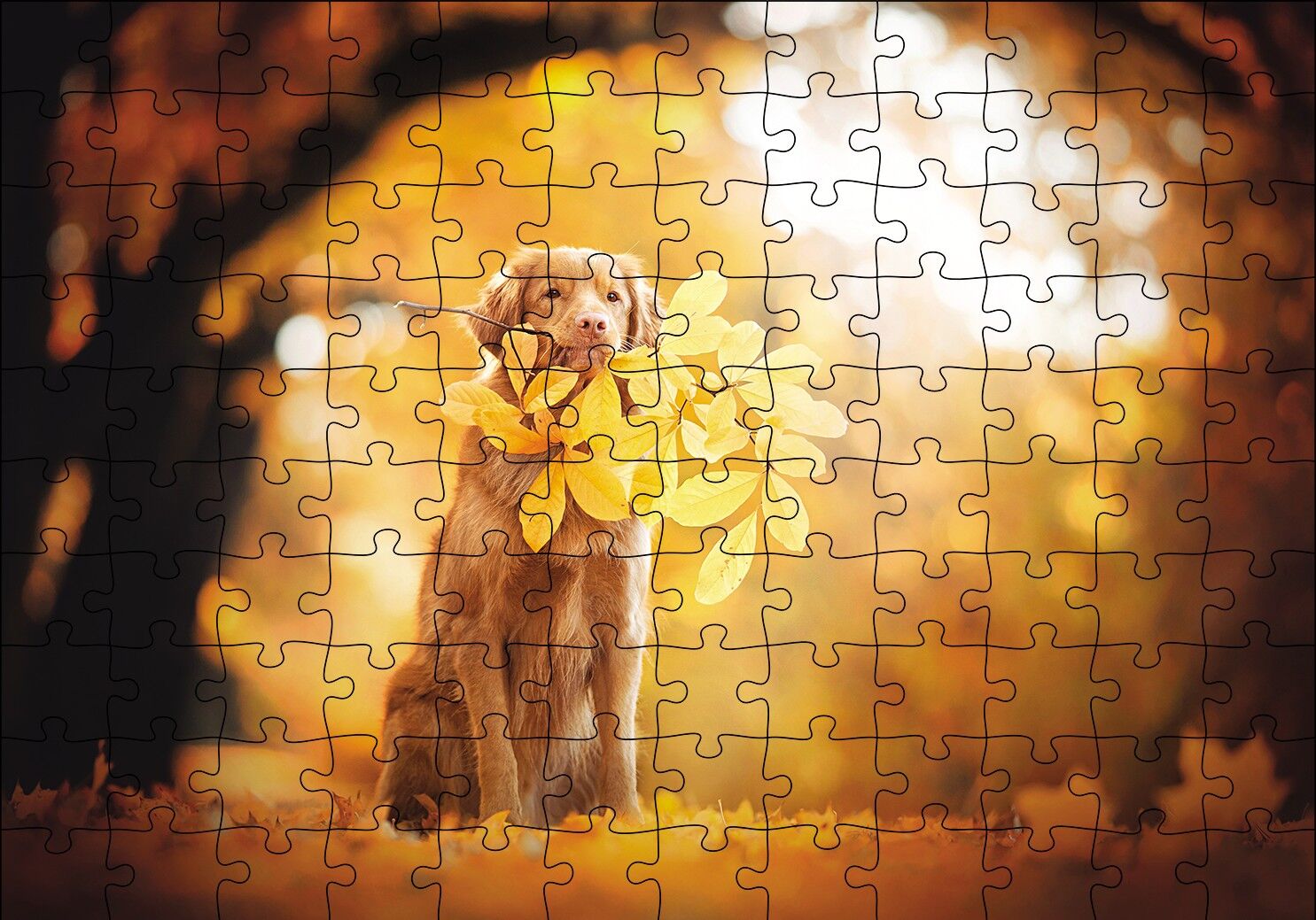 Golden Retriever Sonbahar Yaprakları Puzzle Yapboz MDF Ahşap