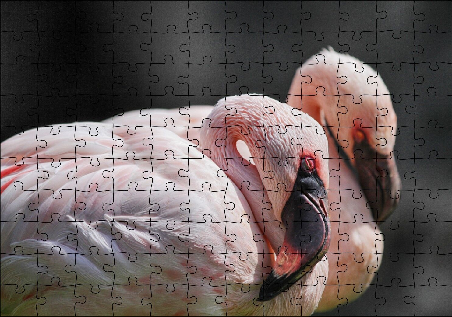 Uyuklayan Bir Çift Flamingo Puzzle Yapboz MDF Ahşap