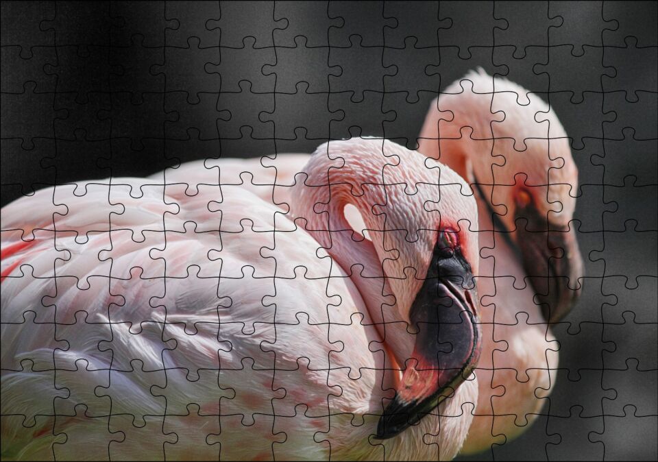 Uyuklayan Bir Çift Flamingo Puzzle Yapboz MDF Ahşap