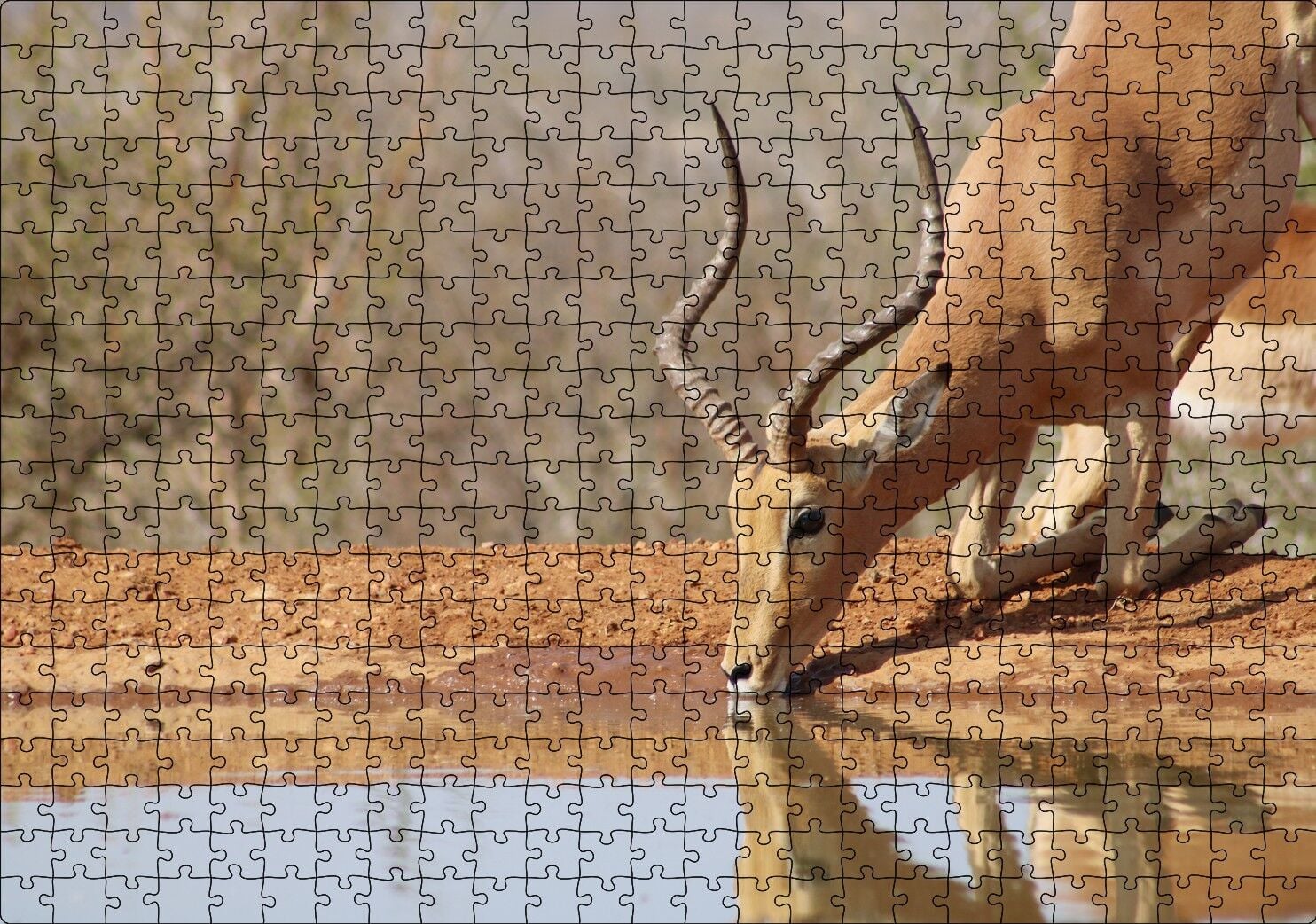 Savanada Diz Çökmüş Su İçen İmpala Puzzle Yapboz MDF Ahşap 500 Parça 49 cm X 68 cm