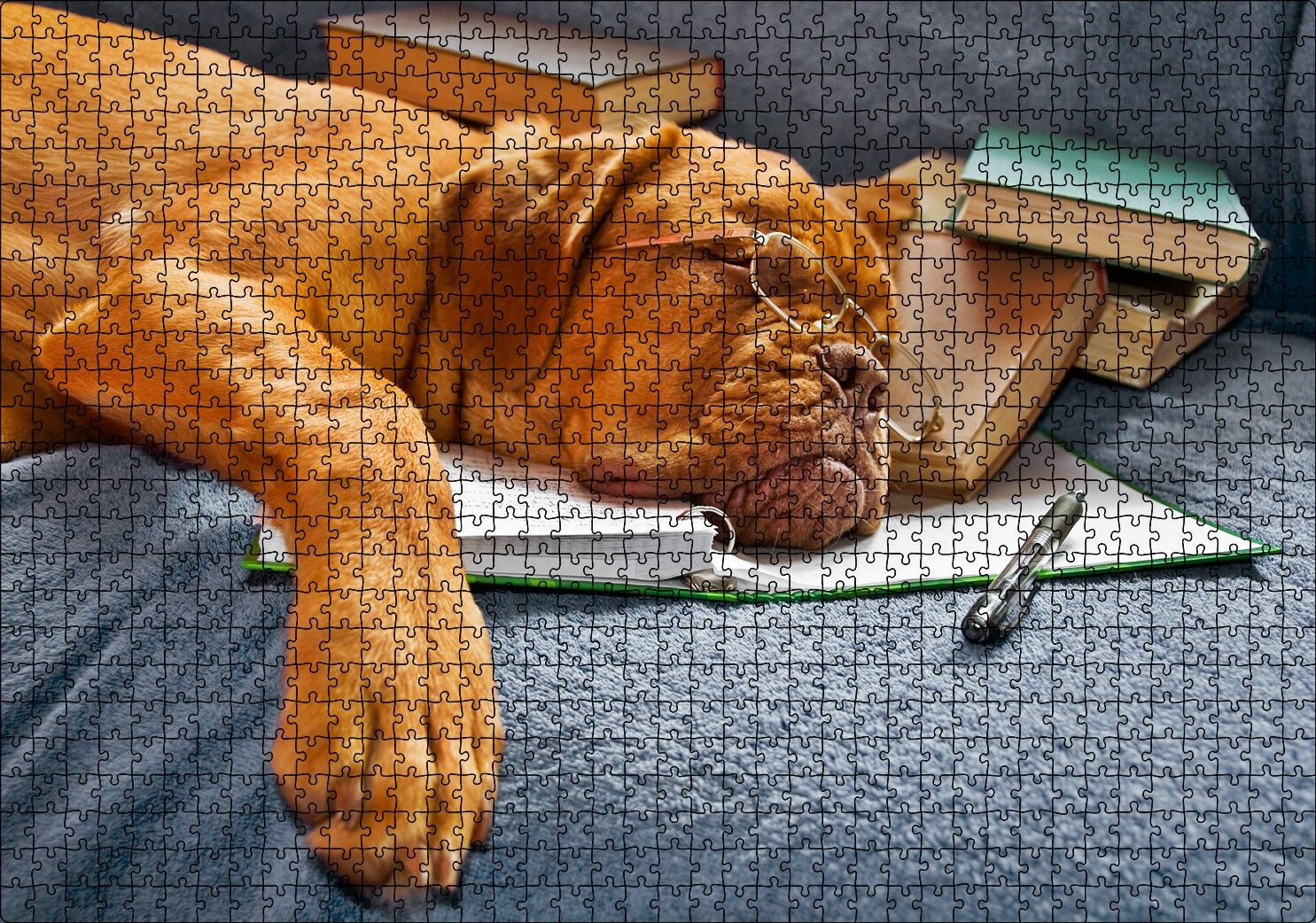 Kitap Defter Kalem ve Gözlüklü Kahverengi Buldog Puzzle Yapboz MDF Ahşap 1000 Parça 49 cm X 68 cm