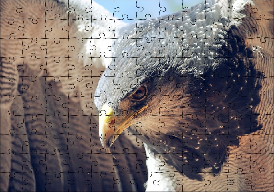 Süzülen Kartal Yakın Plan Puzzle Yapboz MDF Ahşap