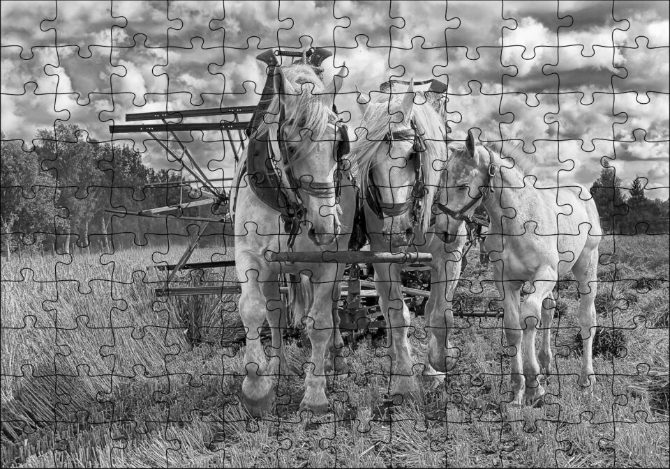 Hasat Yapan İki At ve Yanlarındaki Tay Monokrom Puzzle Yapboz MDF Ahşap