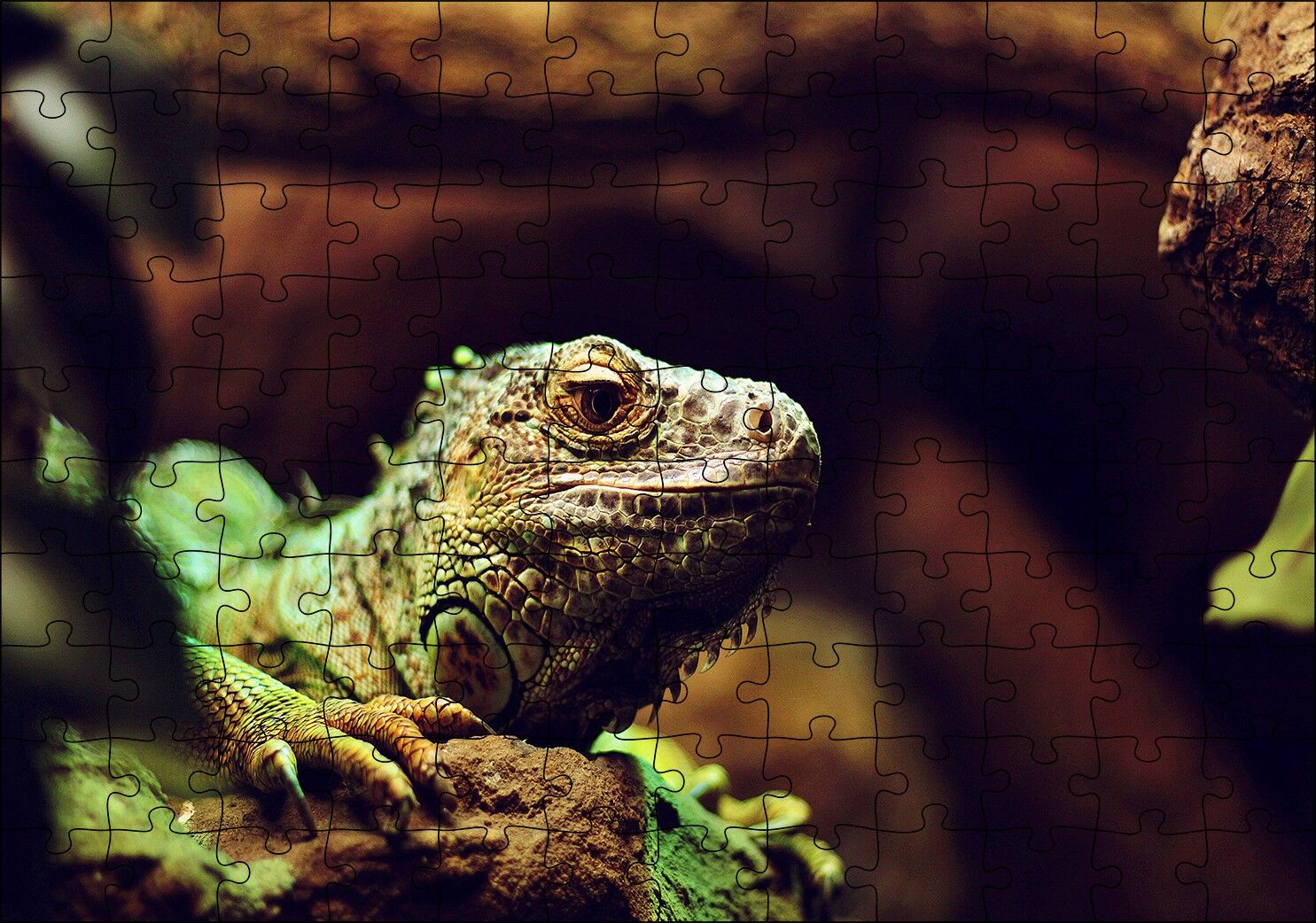 İguana Yakın Plan Flu Arka Plan Puzzle Yapboz MDF Ahşap 120 Parça 24 cm X 34 cm