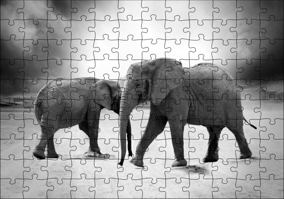 Savanada İki Fil ve Bulutlu Gökyüzü Monokrom Puzzle Yapboz MDF Ahşap 120 Parça 24 cm X 34 cm