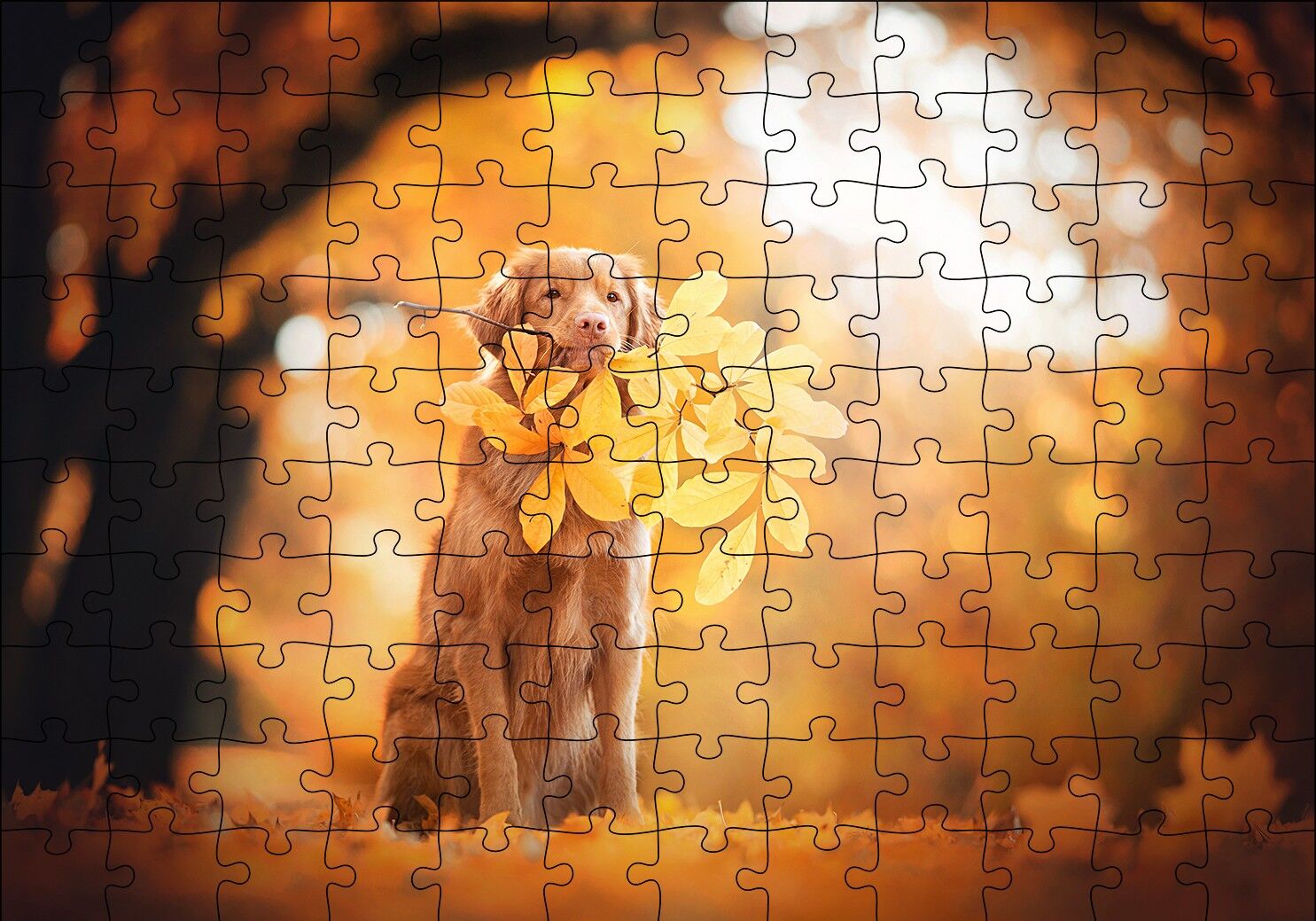 Golden Retriever Sonbahar Yaprakları Puzzle Yapboz MDF Ahşap