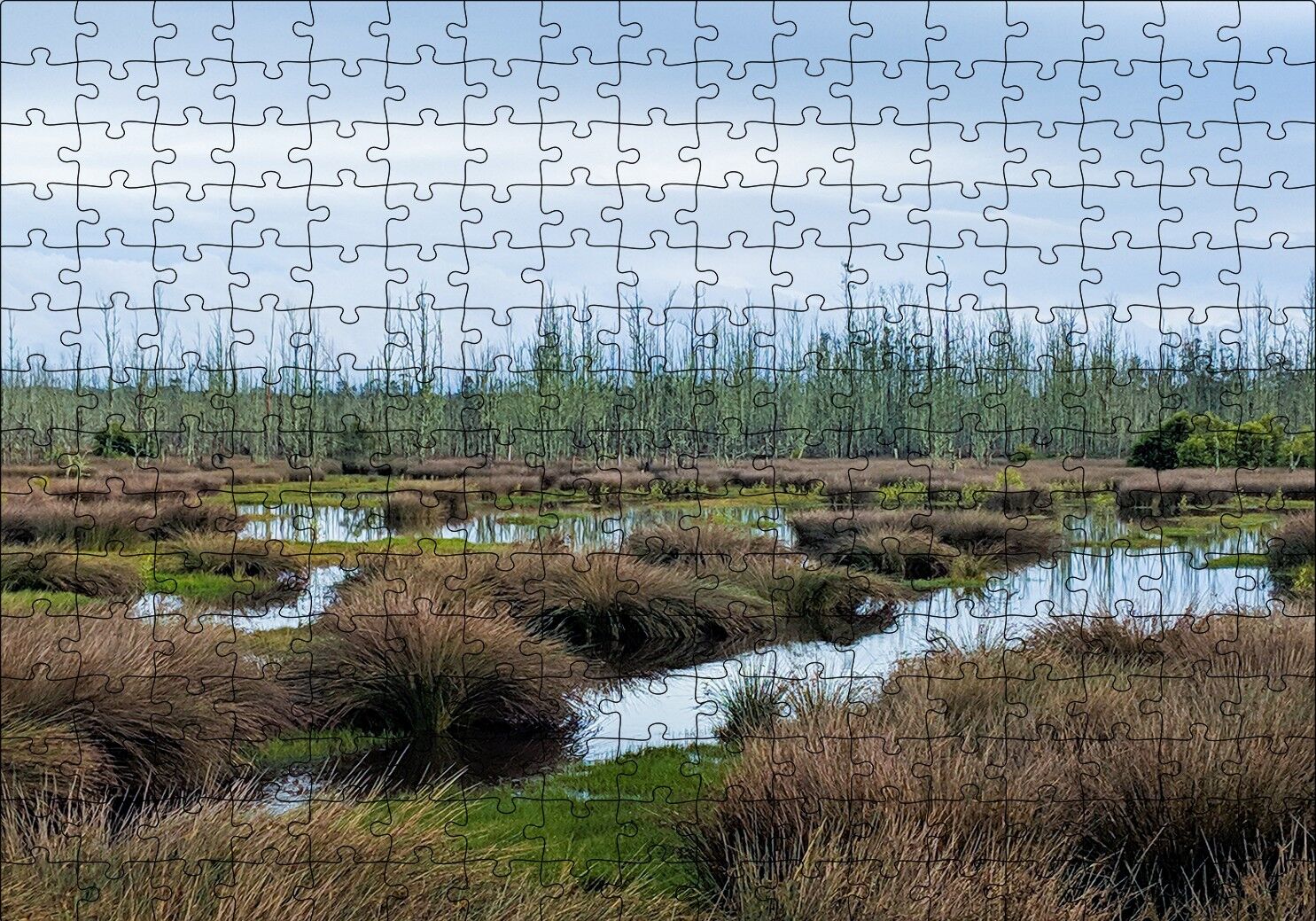 Sazlıklar ve Su Kenarında Otlar Puzzle Yapboz MDF Ahşap 255 Parça 34 cm X 49 cm