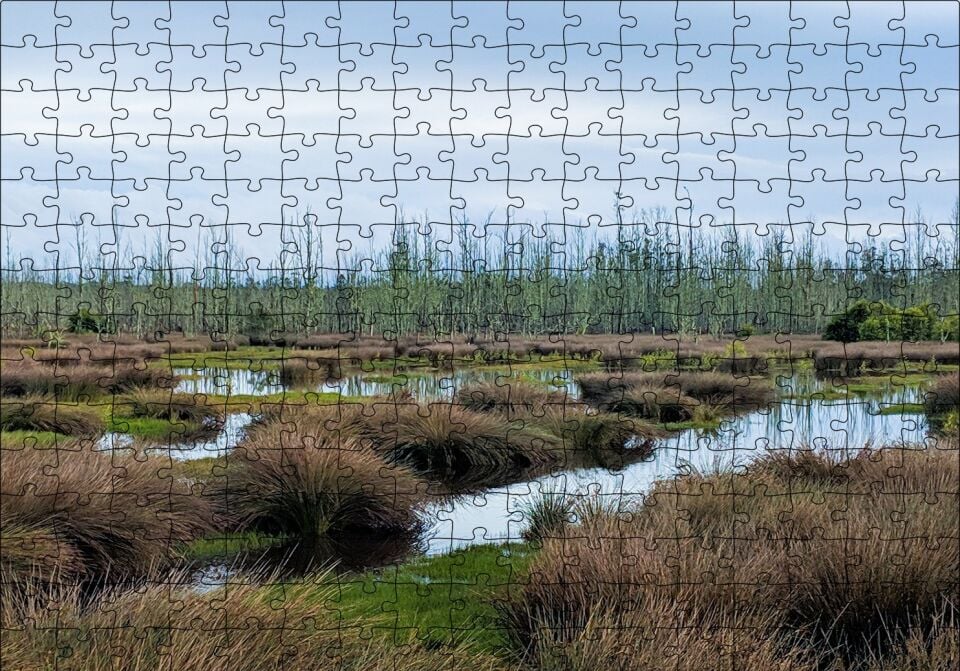 Sazlıklar ve Su Kenarında Otlar Puzzle Yapboz MDF Ahşap 255 Parça 34 cm X 49 cm