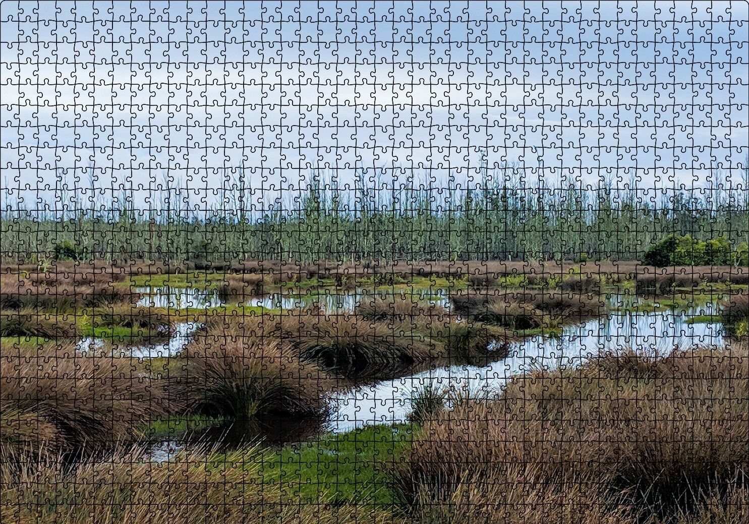 Sazlıklar ve Su Kenarında Otlar Puzzle Yapboz MDF Ahşap 1000 Parça 49 cm X 68 cm