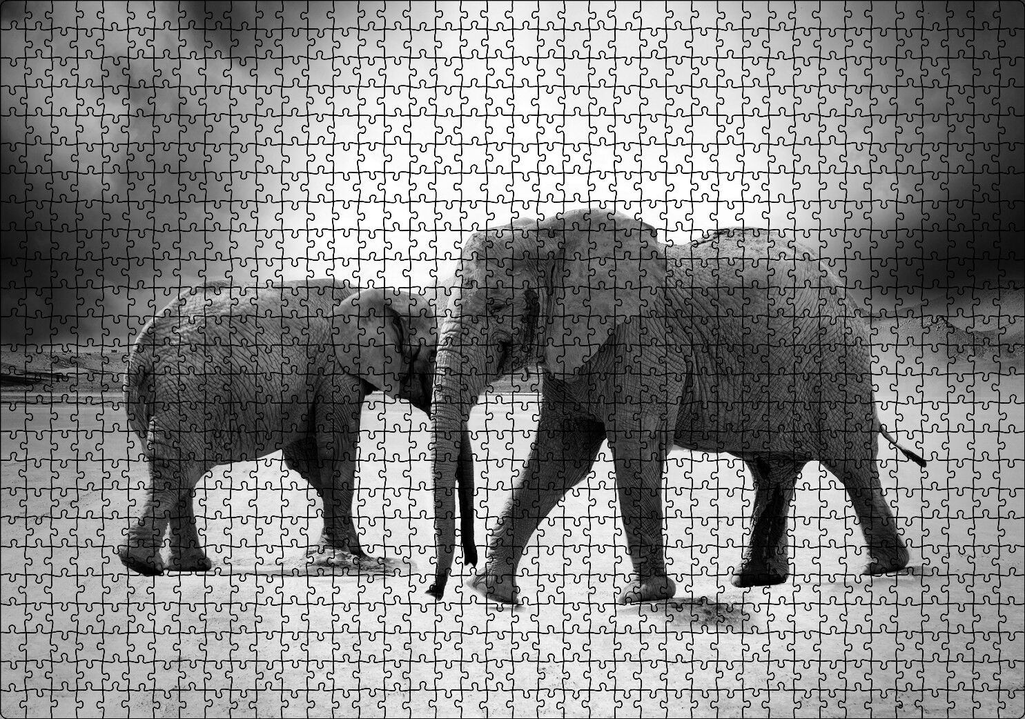 Savanada İki Fil ve Bulutlu Gökyüzü Monokrom Puzzle Yapboz MDF Ahşap 1000 Parça 49 cm X 68 cm